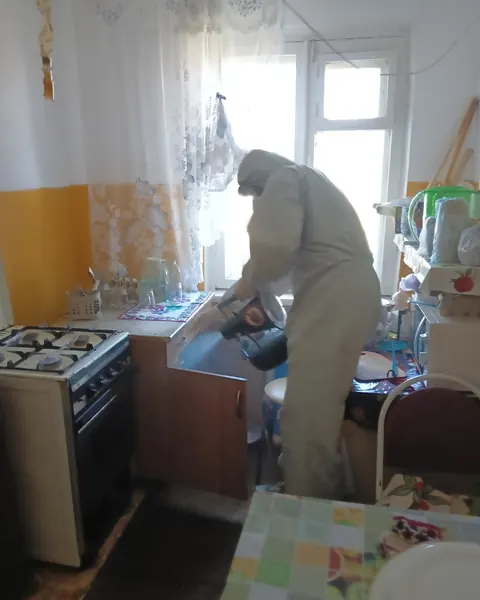 Дезинсекция кухни в квартире